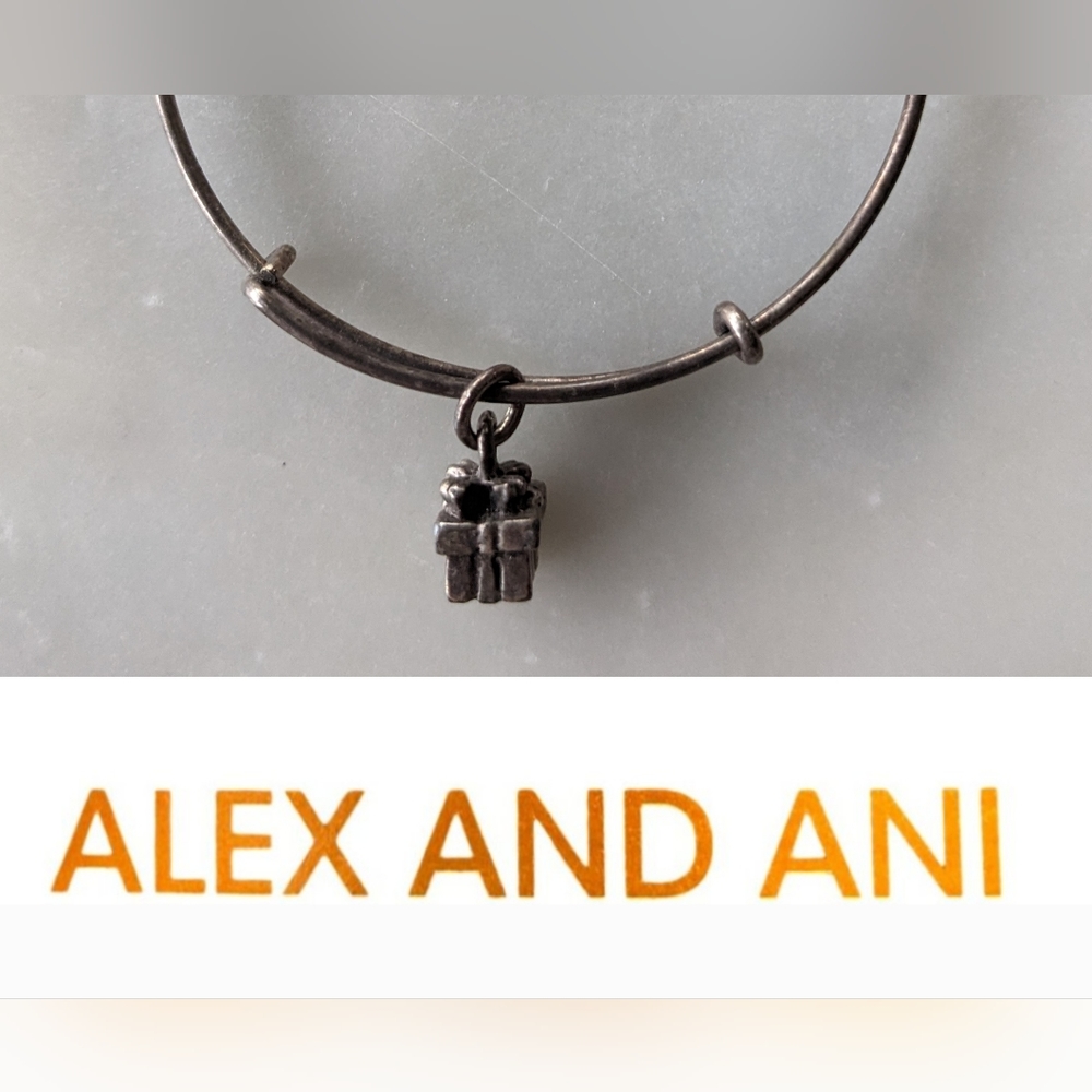 Alex and Ani Silver Wrapped Gift Bracelet